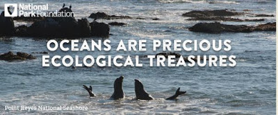 Happy World Oceans Day!